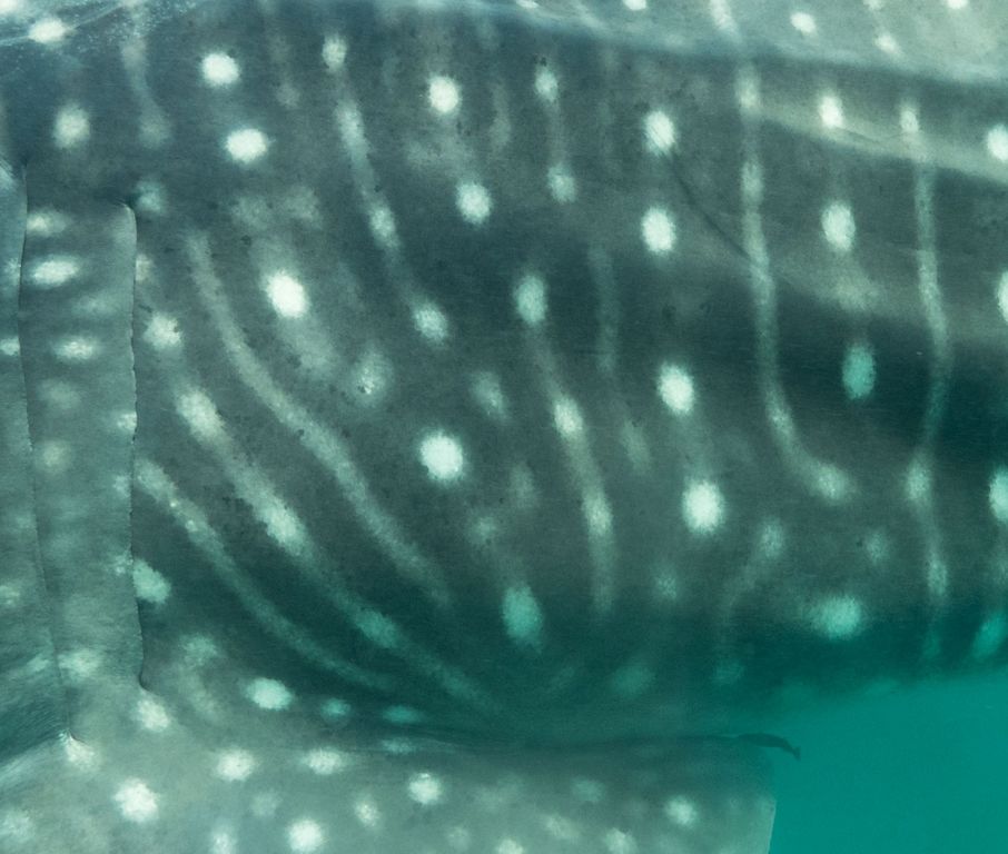 6e3a7457-9206-45fb-9034-ac2e96ee317f