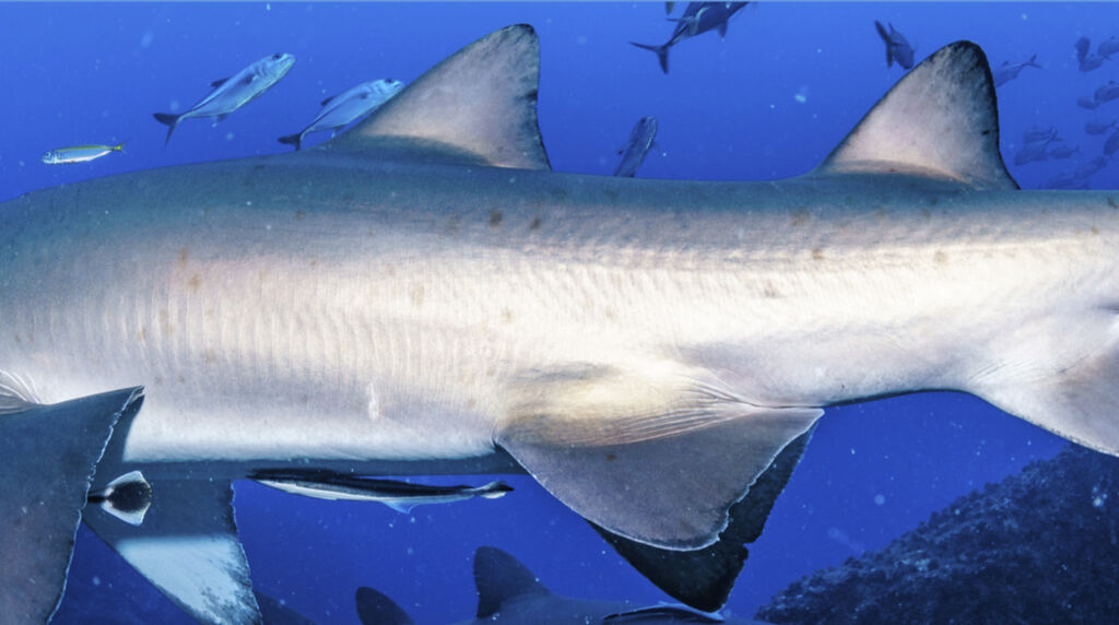 2204a93a-11fb-400b-b61a-1574748506a6