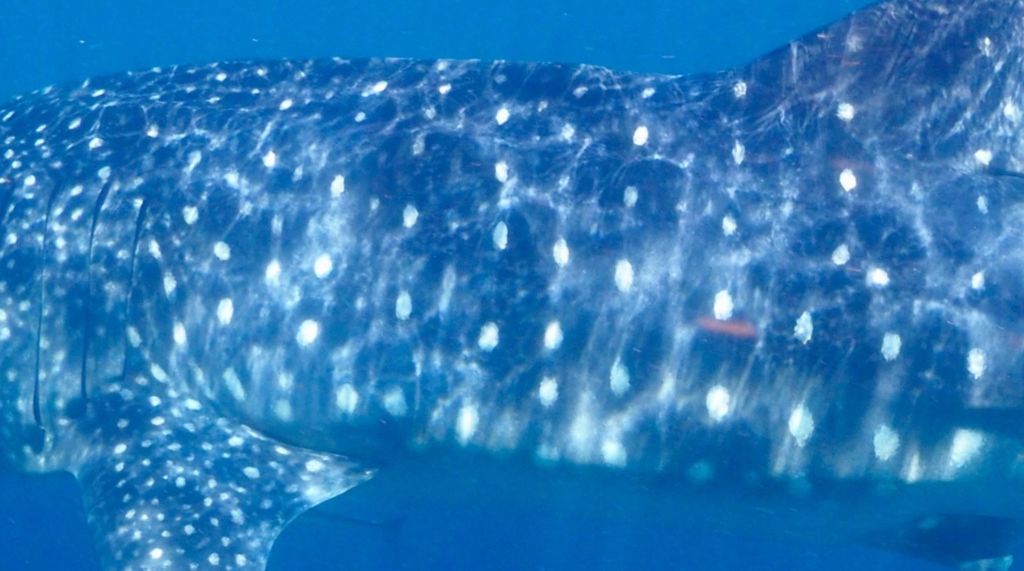 f54fd2ee-b358-4e82-94f1-0ebdeb2434b8