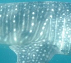 c35f0b08-7423-4d66-8ad0-bc73e8d9581f