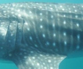 c35f0b08-7423-4d66-8ad0-bc73e8d9581f