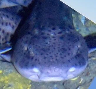 51255181-a180-42ee-8260-8e10c530c213