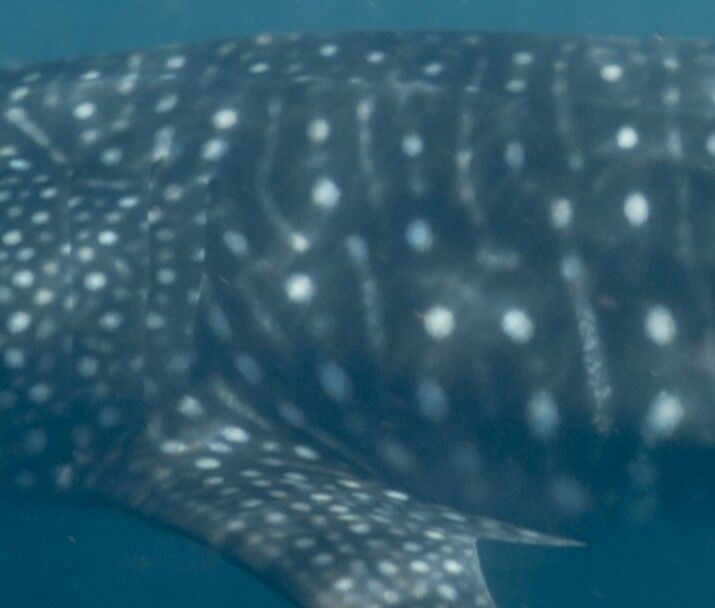 9ccedf89-67a2-48b3-b147-a8629116869b