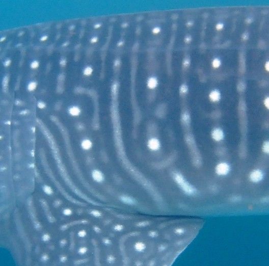 673d2b97-9778-4989-9f44-ca51220a1c58