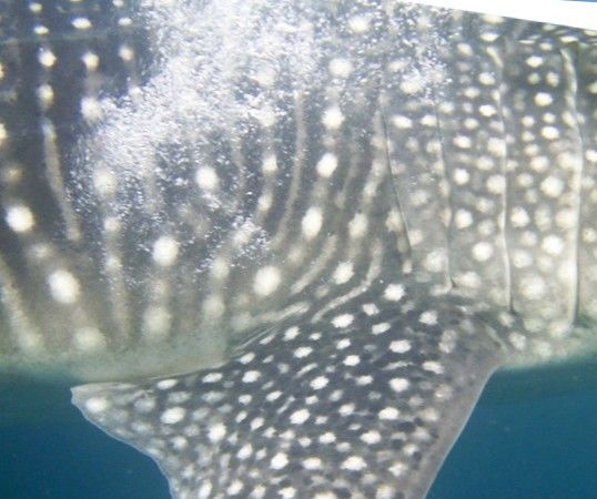 7784992f-0d75-401c-bc44-12f78cb84ab2