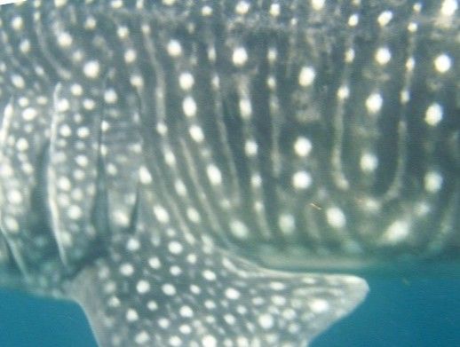 7784992f-0d75-401c-bc44-12f78cb84ab2