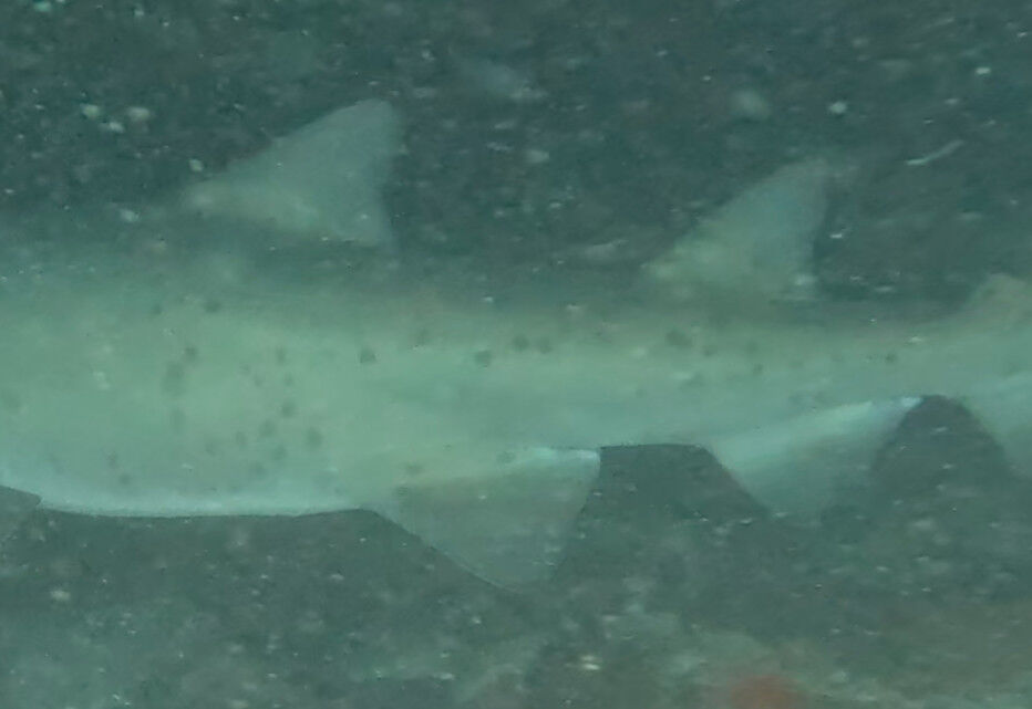 d74bd794-f6e3-44a5-a64b-c00f205ae668