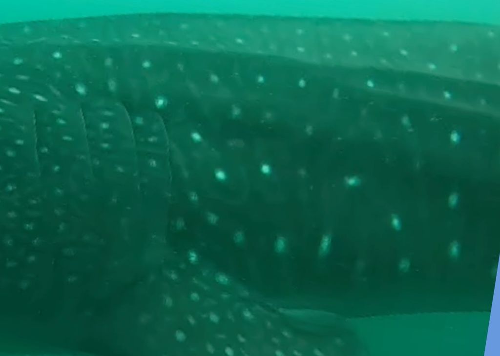 e2e7b60f-6792-46d9-8493-3a2b6d23f52a