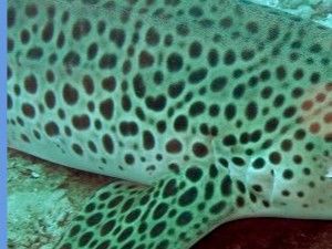 f6eabbb9-ceca-4681-8b8e-e98ed6ace16d