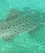 f6eabbb9-ceca-4681-8b8e-e98ed6ace16d