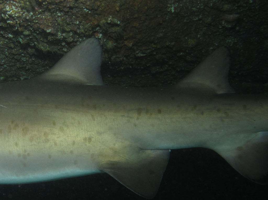 bcdeb42a-b97e-4b2c-ae5c-d1532786036a