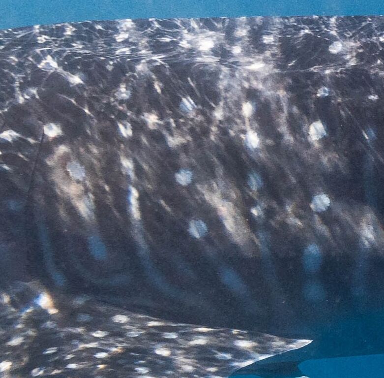 b74238a2-2a04-468f-99b1-60d52784fc12