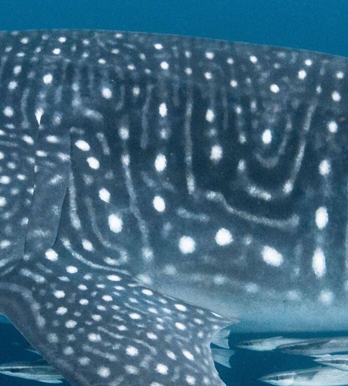 291a2b5c-9779-4626-aa8b-99f72f165546