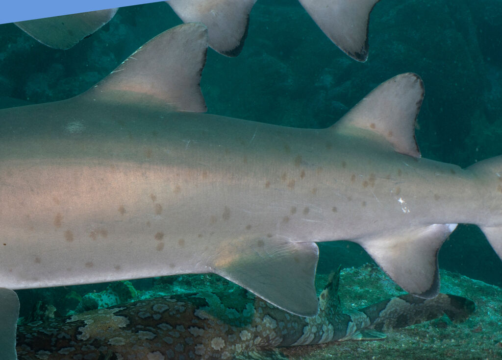 3f0602d9-d82f-4576-b723-9ffccdf27259