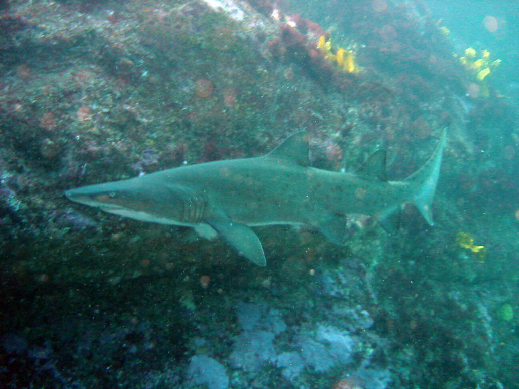 8aef7ab6-ef65-4a6d-aedf-995d19d50c9b