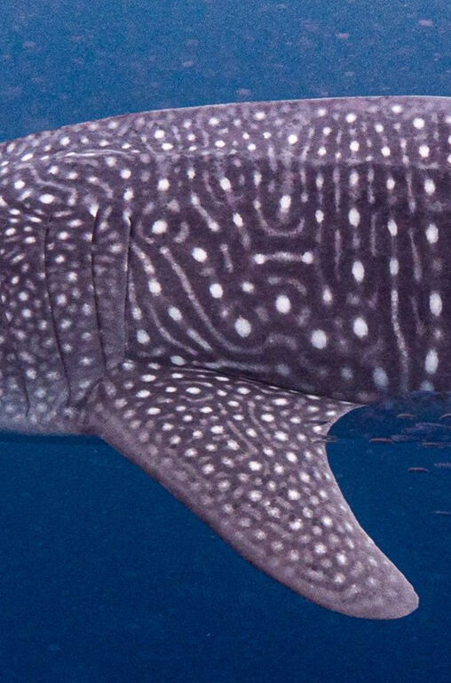 b38ef2c0-1a90-4683-ae43-94f9cfc7c109