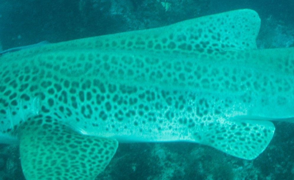 069b2789-a8e8-42c1-b03d-fe9c958cfcd5