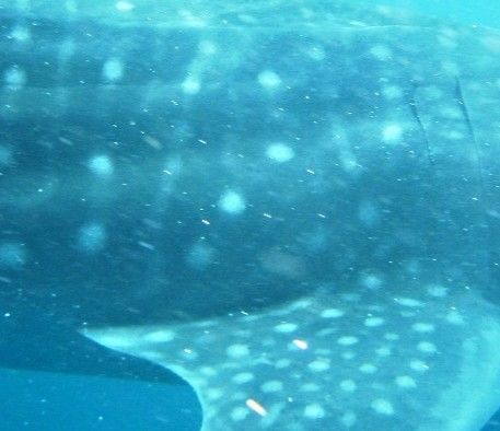 093e2b20-8dcd-484a-83af-b0e2a3e3b74d