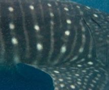 83615c65-30f0-4b8f-84d8-2ecedc661ab4