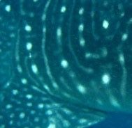 83615c65-30f0-4b8f-84d8-2ecedc661ab4