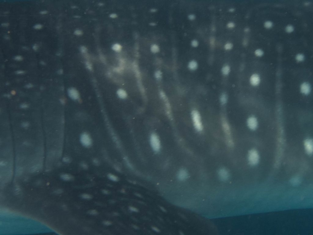 9011a1da-9e7e-43b9-a3ea-724cbcefb459