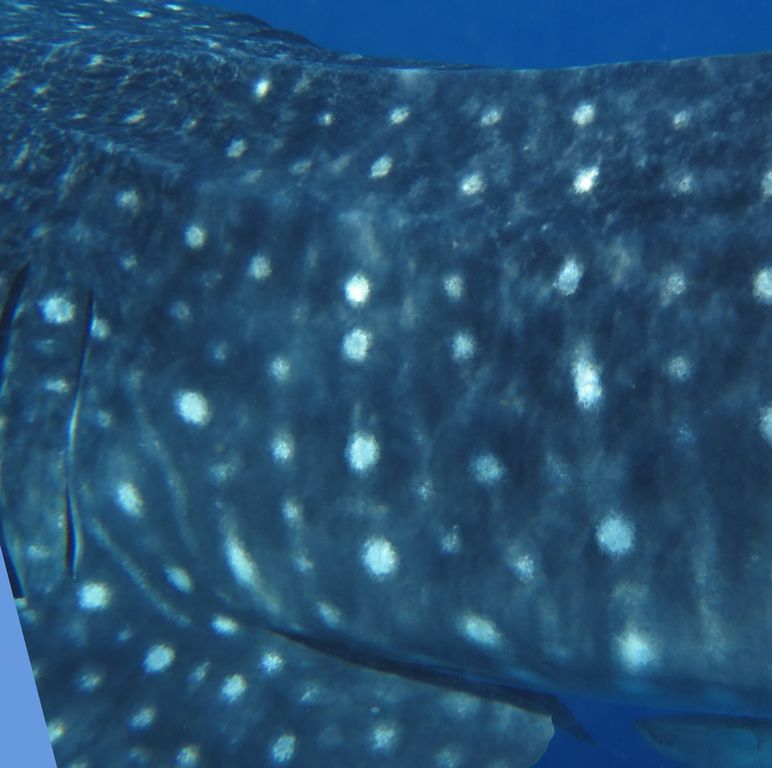 02a12010-8d8e-45db-9df3-70671ead74f5