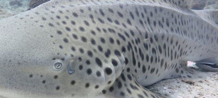 1407b5a1-ef85-4b75-8217-a544087c29e3