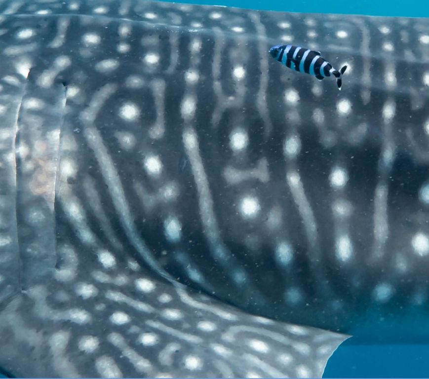 7e62275f-42fc-4ebe-9a70-9f910951404f