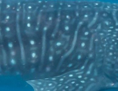 7e62275f-42fc-4ebe-9a70-9f910951404f