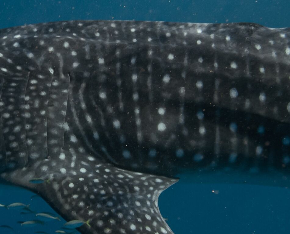 b5d688b7-415d-4ae9-b02f-0c1bf935c5b0