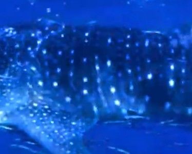 12638ac0-f0ff-4e02-9bac-3ef38e6537df