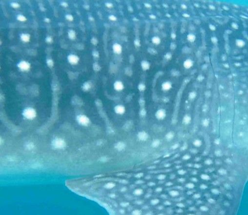 a5713e09-f747-4504-b58c-512b263e6f1f