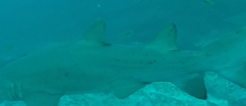 c98e45be-2c89-4488-8eae-84a7715149ac