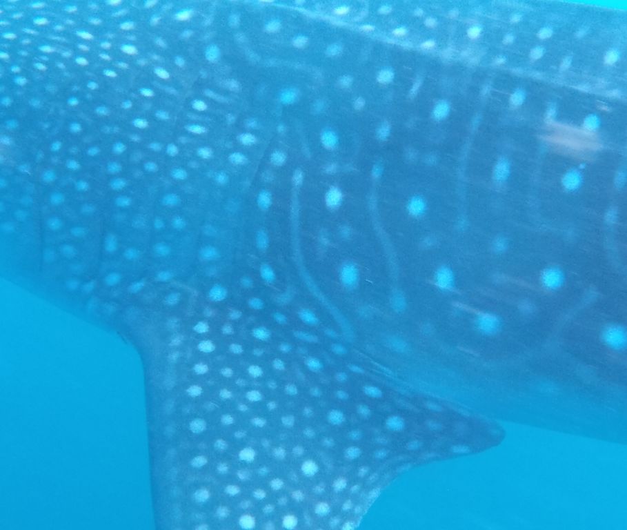 b3b0d7ea-06a1-4a24-ad1e-c52335ed7bd9