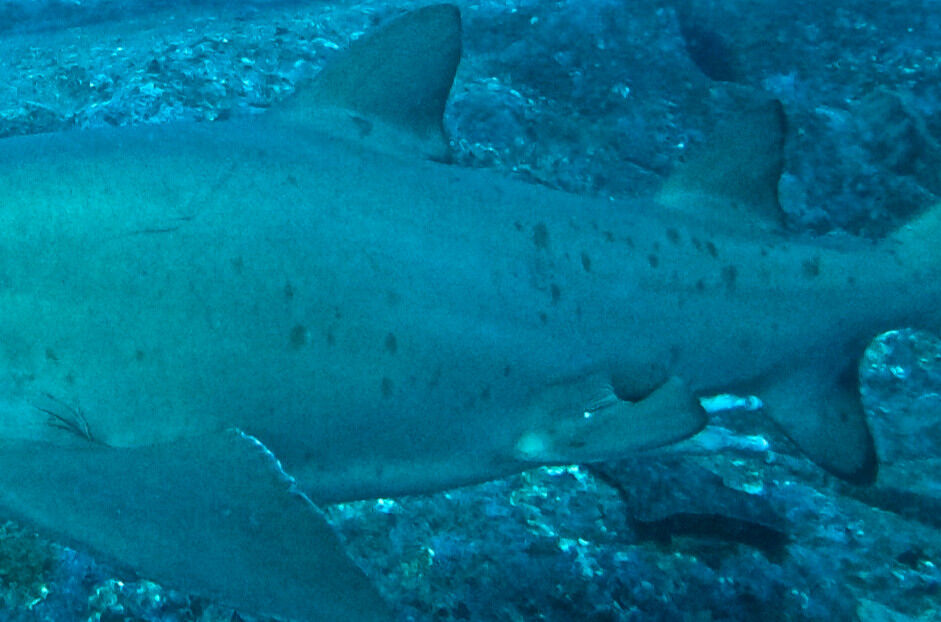 c29ba367-3b04-48b3-b2f1-cb49f0da686c