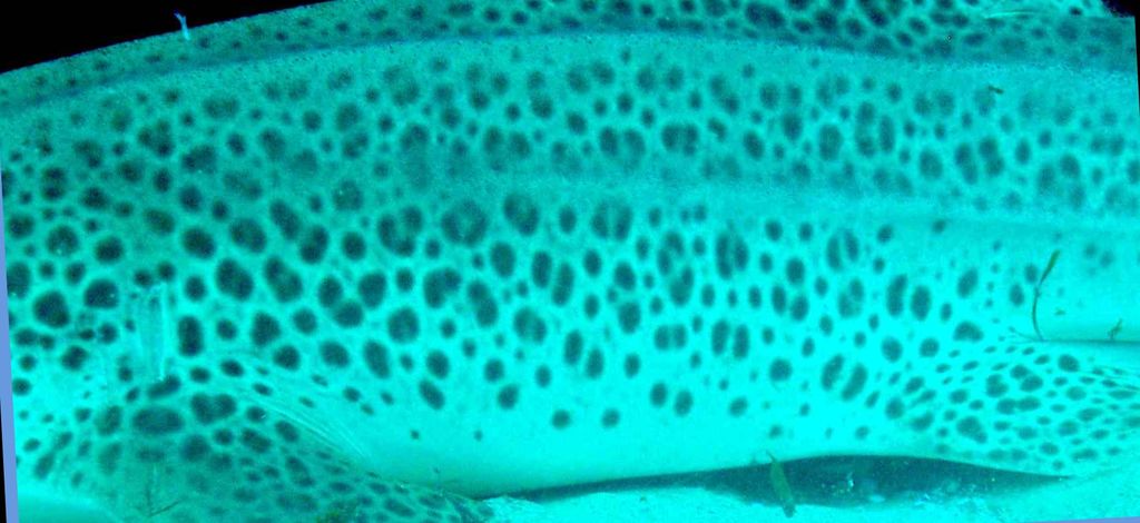 252e60bb-7a34-4e33-8f37-dab1ef164b63