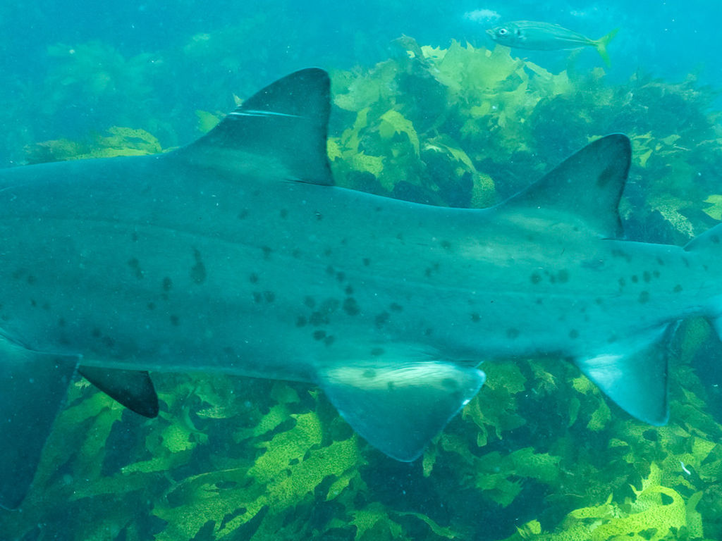 de289851-66b0-4ec2-ab5b-c9ea89e0640c