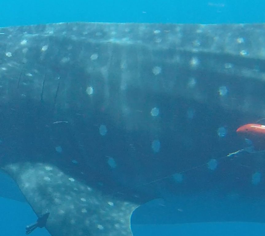 284fa4fc-13cc-42e0-8c50-48eb6b655387