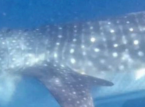 4eb41bfc-fedd-4c0f-9931-a6e5609d9f8d