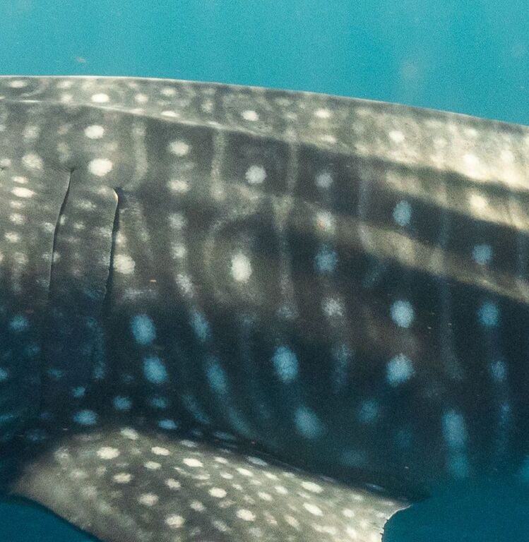 9e973b09-807b-4db7-8abb-ce23267331e5