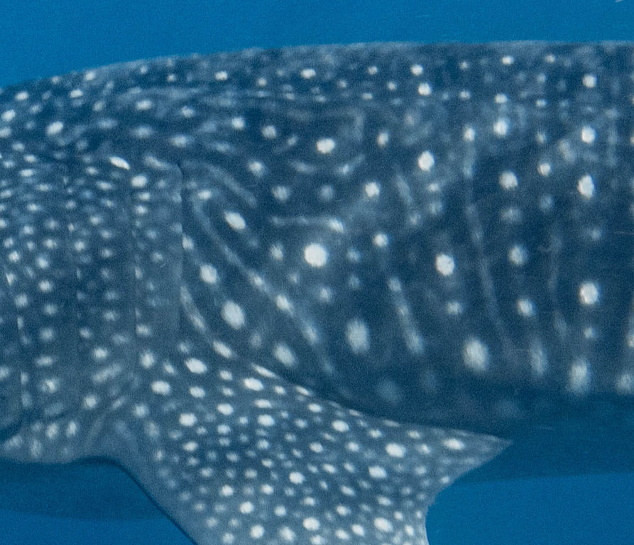 92138322-2f5d-437c-a803-f2b986402d04