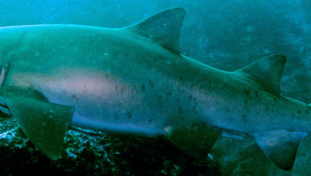 770056be-777c-4385-b4b7-7d89a7ed0e88