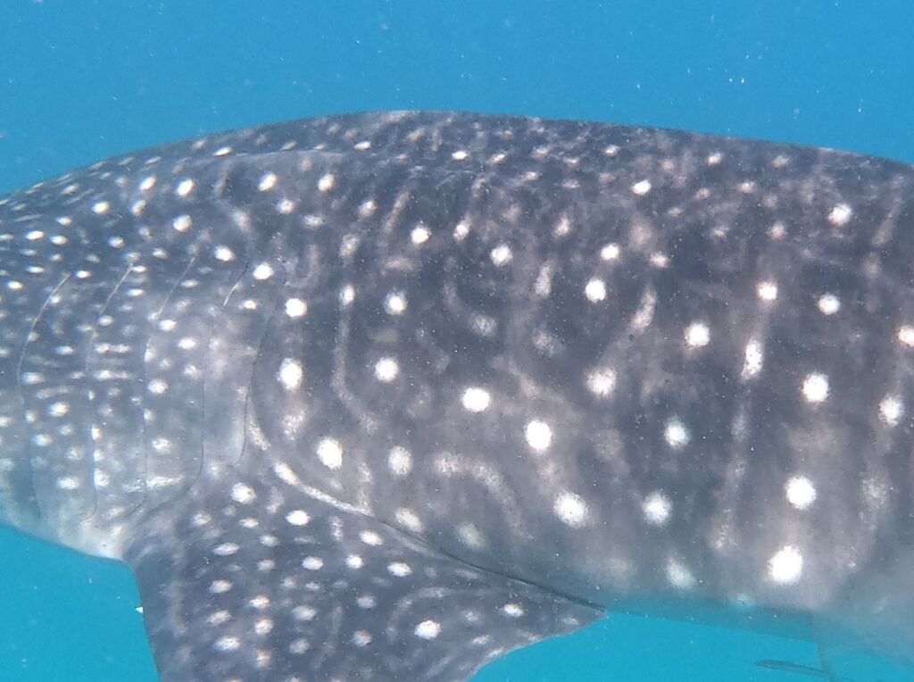 f5087089-8a66-4110-9c2f-b715a684f68b