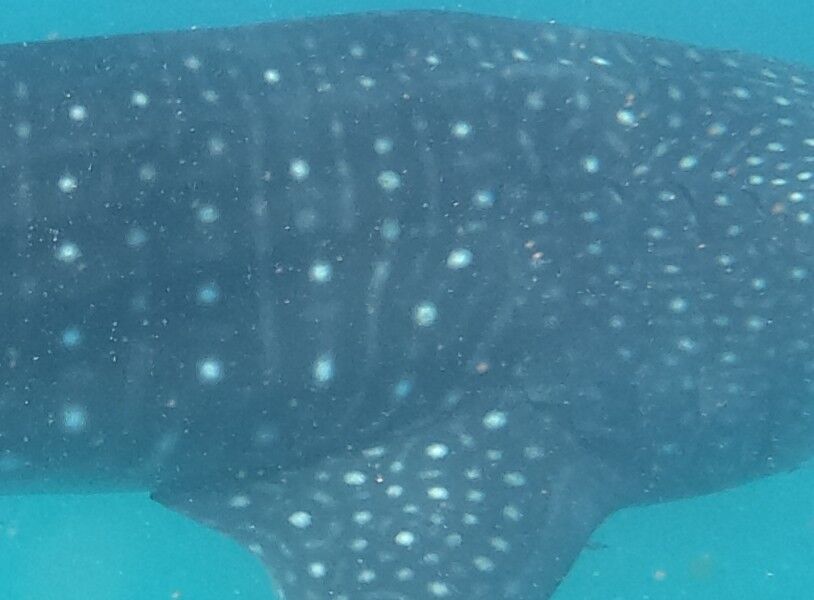 f5087089-8a66-4110-9c2f-b715a684f68b