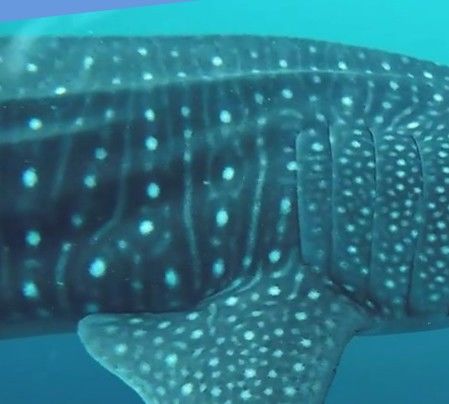 da0d640c-8a88-47de-914b-788f883175a0