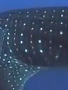 ebb43ae4-21dc-43a7-ab89-6c27c4d10a4e