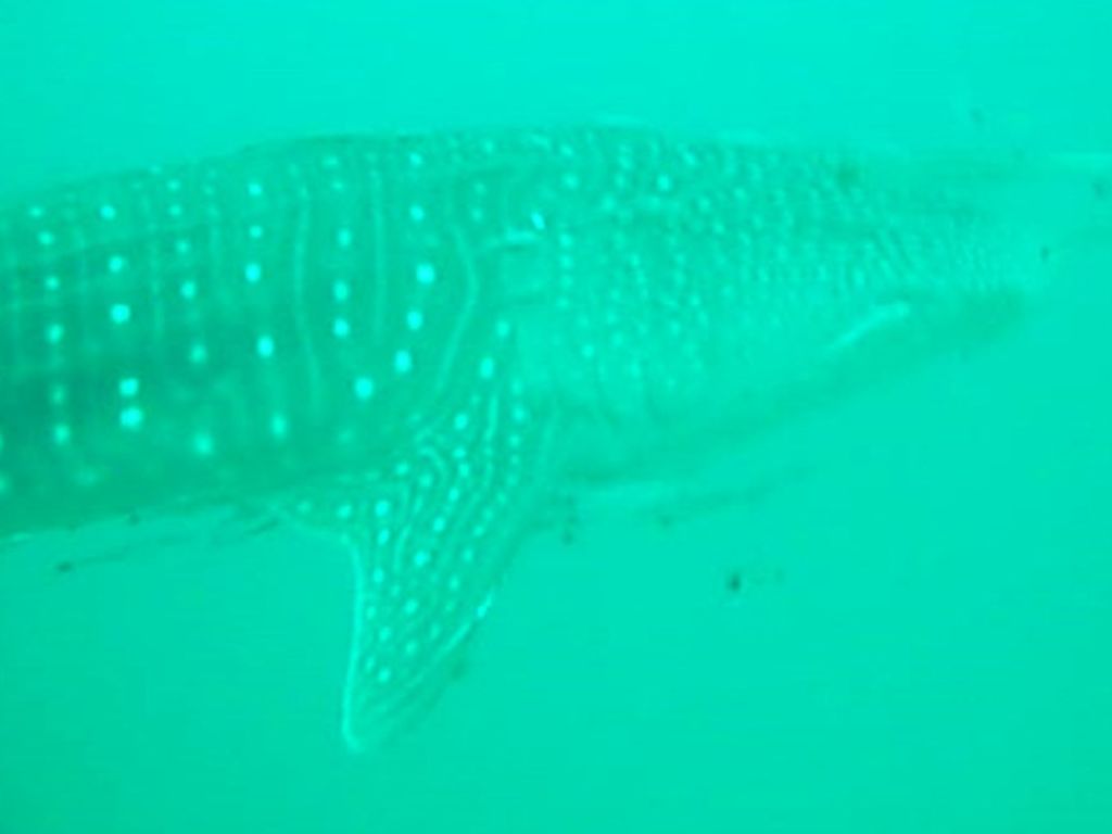 21e88051-c6cb-4e9c-9df7-3eb3a9b09c2f