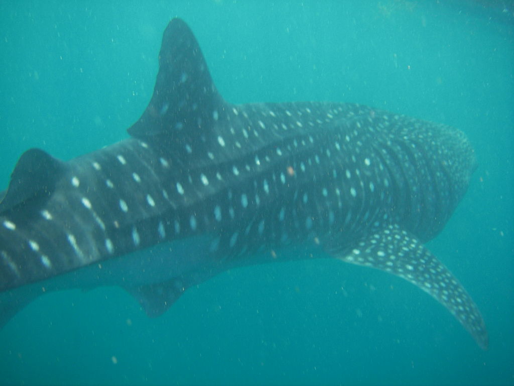 37b79719-e641-4bce-a479-85378e5d23a7