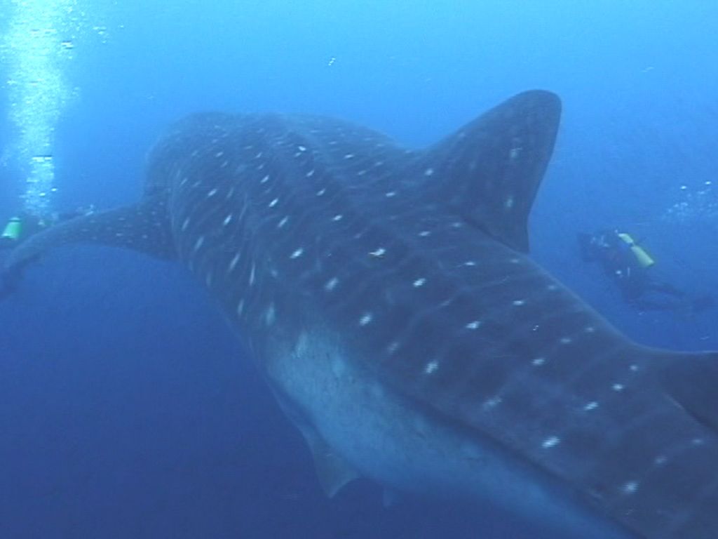 122dba38-ce95-4f50-bff5-3b7a7a70e898