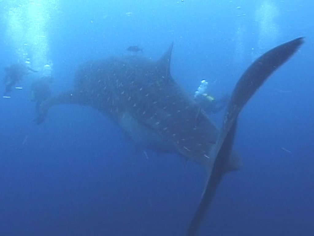 122dba38-ce95-4f50-bff5-3b7a7a70e898